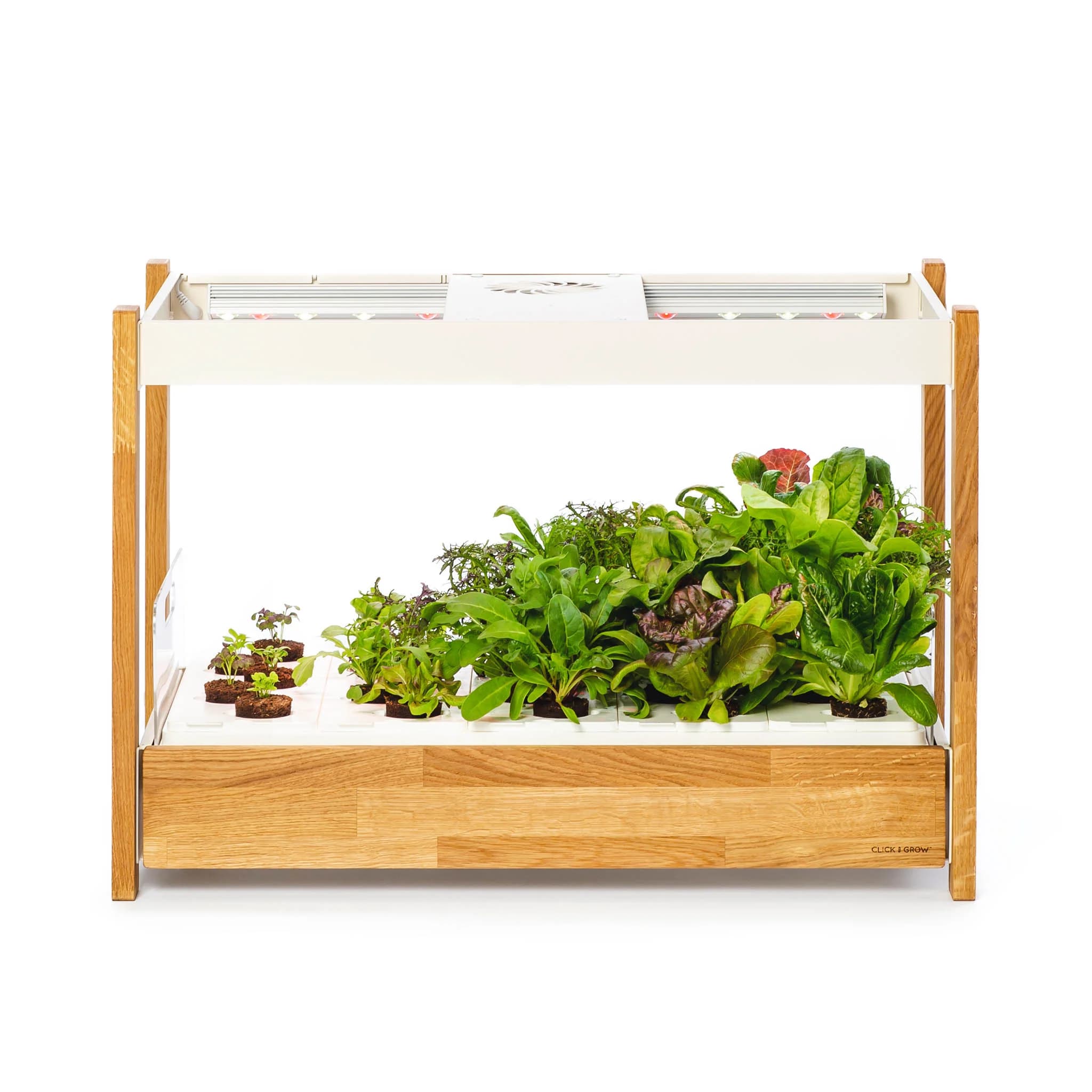 Click & Grow 25