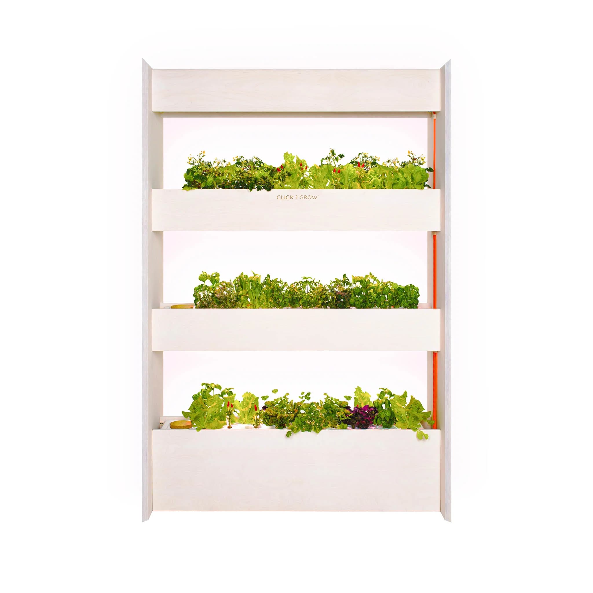 Click & Grow Wall Farm